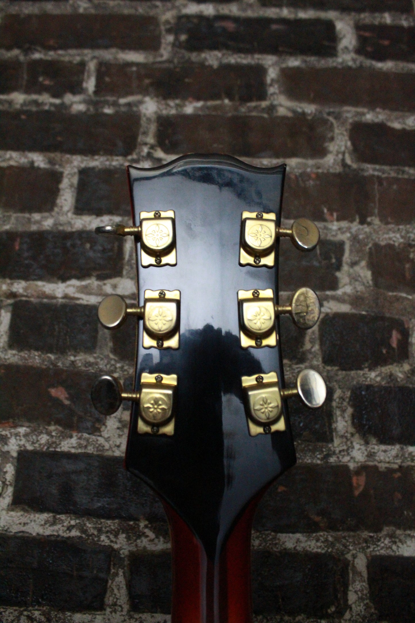 Ventura Hollowbody (USED)