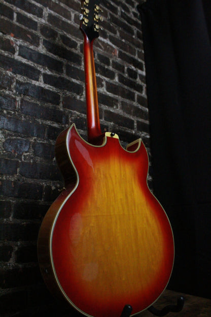 Ventura Hollowbody (USED)