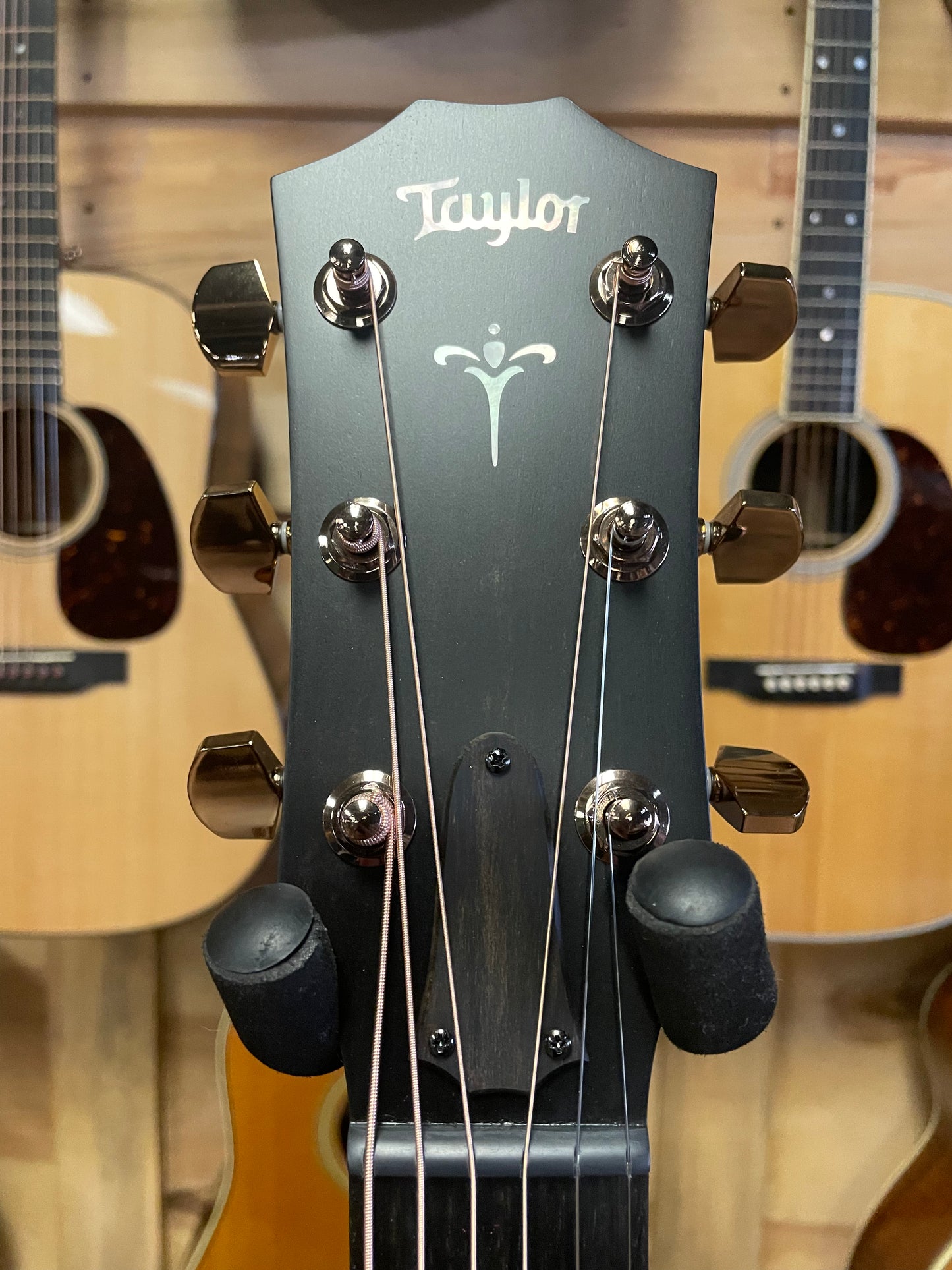 Taylor 724ce (NEW)